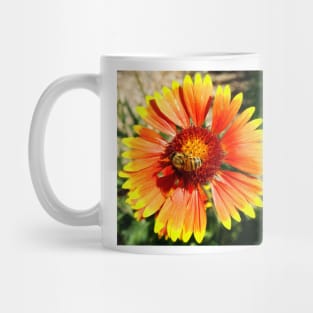 Orange and Red Gaillardia Prairie Flower with Bee Macro Mug